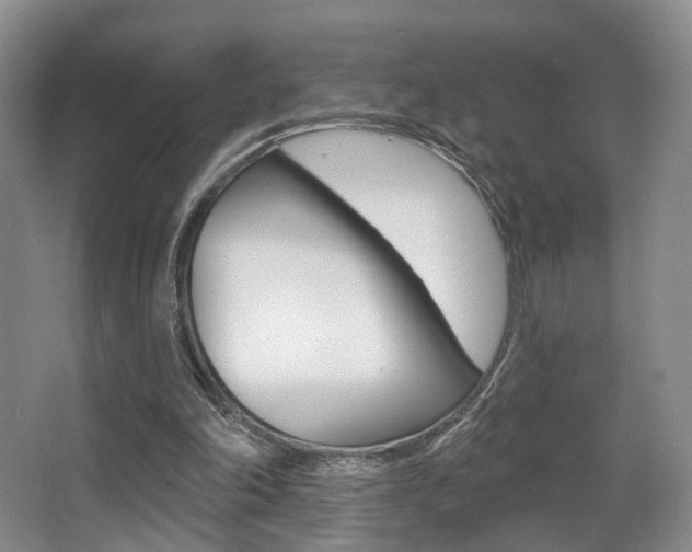 X0000064050198200601271007