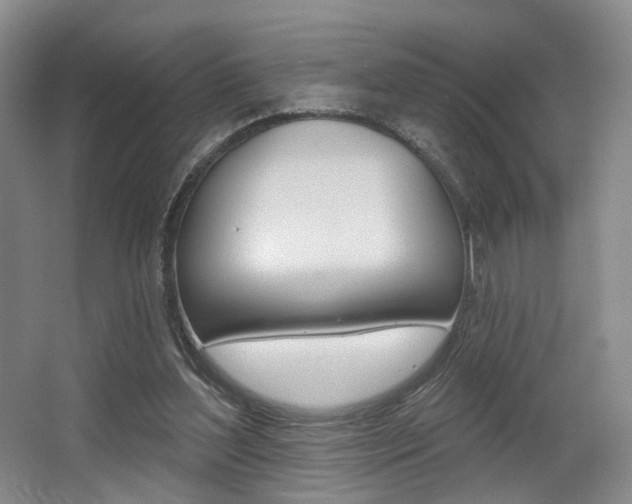X0000064050204200601271007
