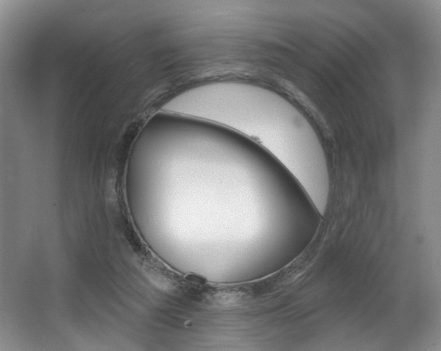 X0000064050209200601271007