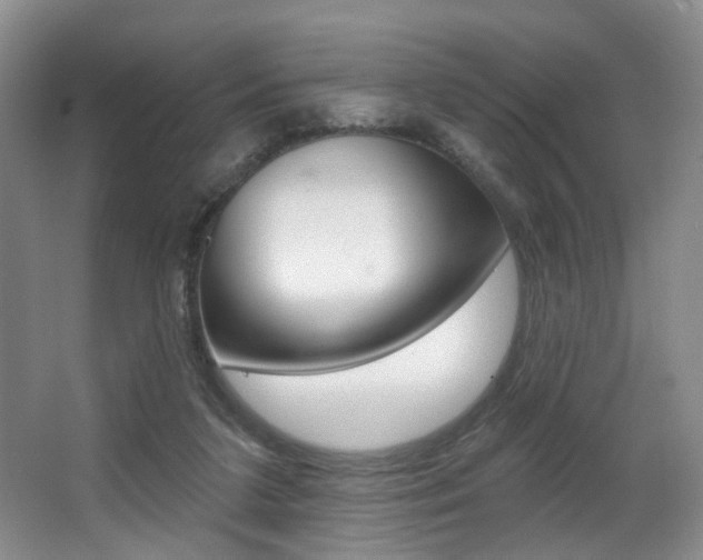 X0000064050211200601271007