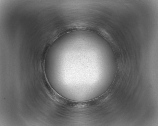 X0000064050213200601271007
