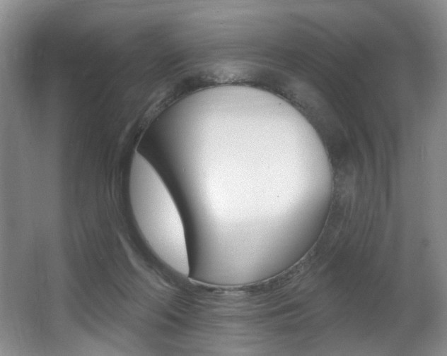 X0000064050214200601271007
