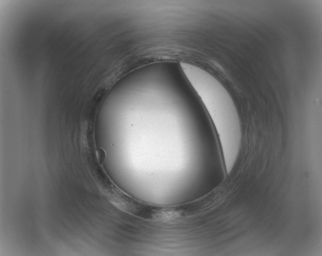 X0000064050217200601271007