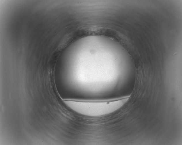 X0000064050225200601271007