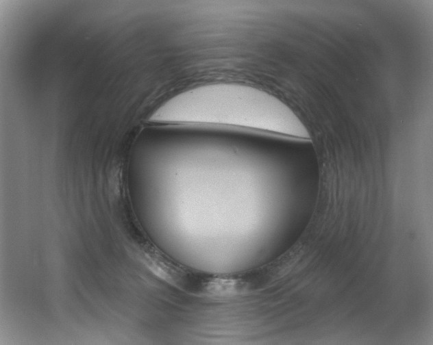 X0000064050227200601271007