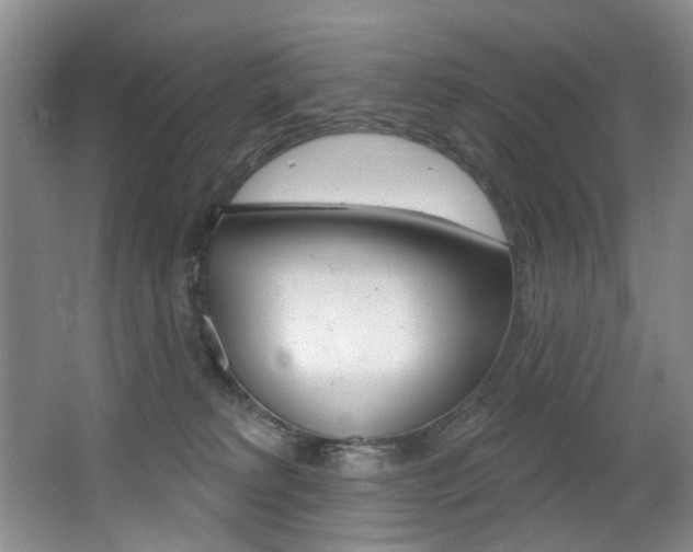 X0000064050229200601271007