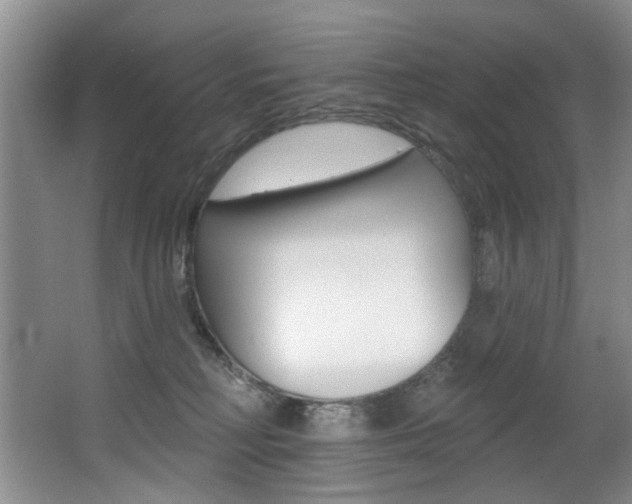 X0000064050230200601271007