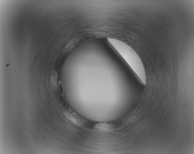 X0000064050231200601271007