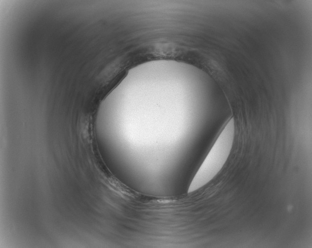 X0000064050233200601271006