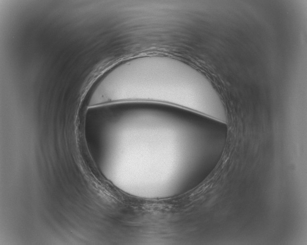 X0000064050242200601271006