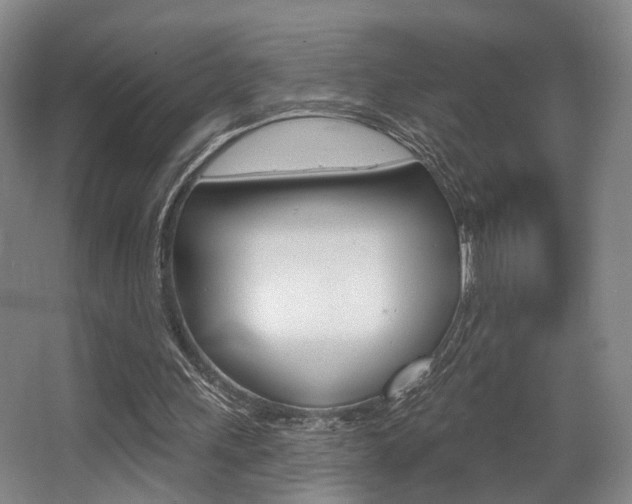 X0000064050243200601271006