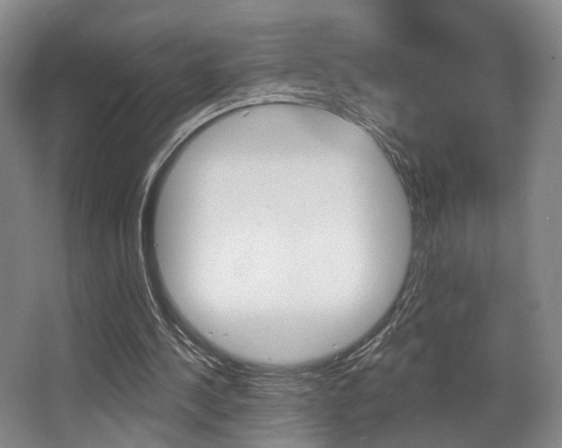 X0000064050244200601271006