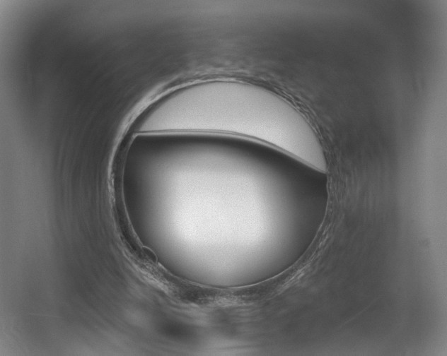 X0000064050246200601271006