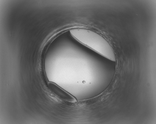 X0000064050247200601271006