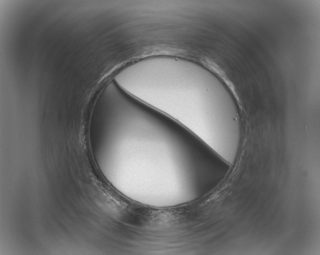 X0000064050249200601271006