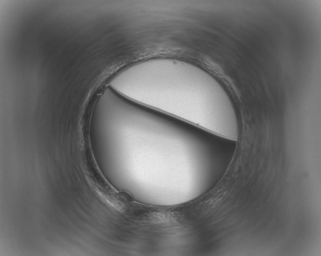 X0000064050250200601271006