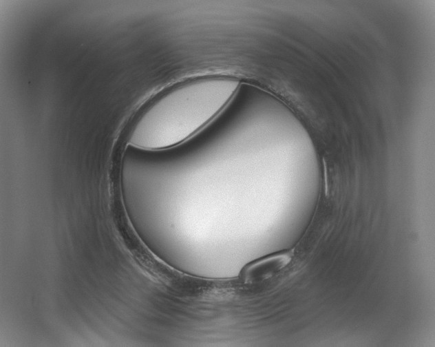 X0000064050252200601271006