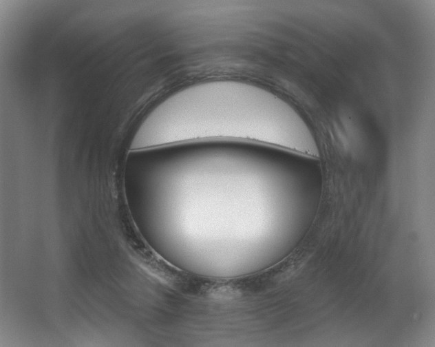 X0000064050258200601271006