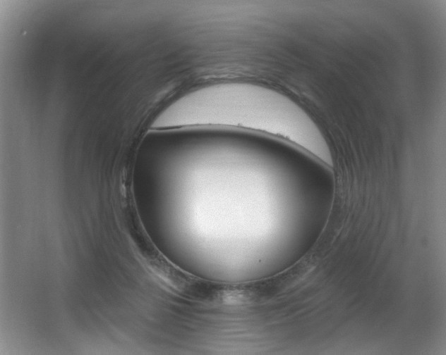 X0000064050264200601271006