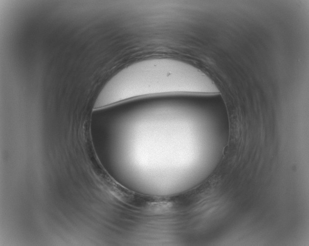 X0000064050266200601271006