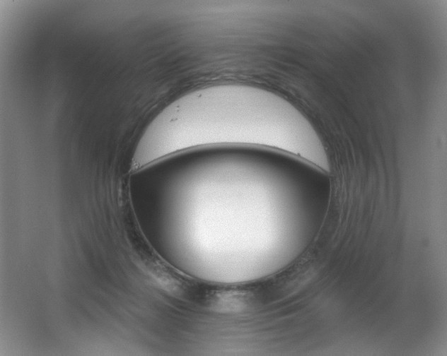 X0000064050268200601271006