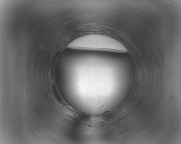 X0000064050270200601271006