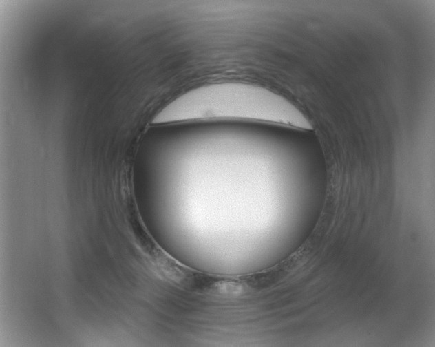 X0000064050272200601271006