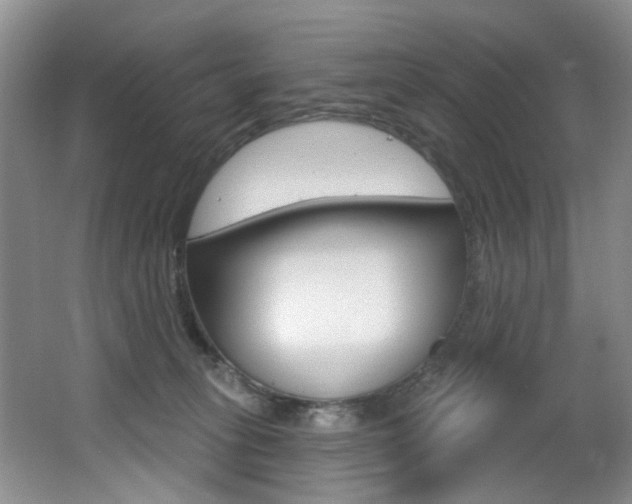 X0000064050275200601271006