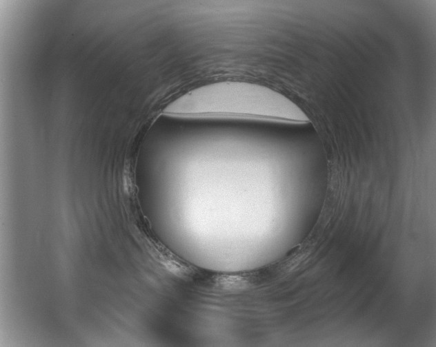 X0000064050287200601271006