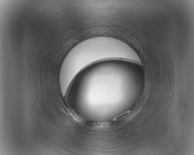 X0000064050288200601271006