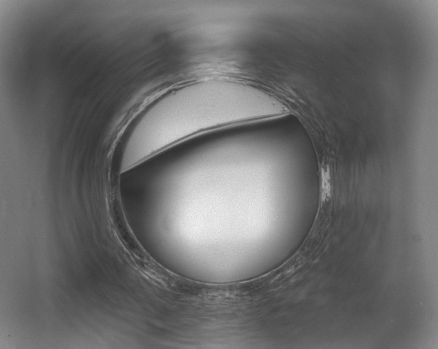 X0000064050291200601271005