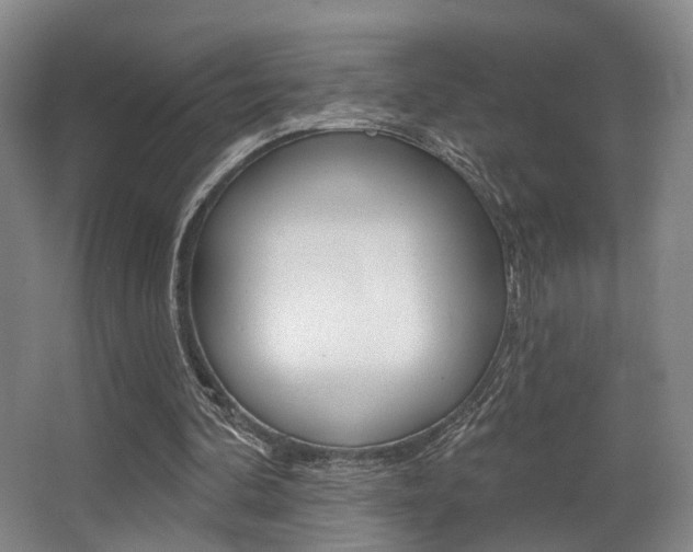 X0000064050292200601271005