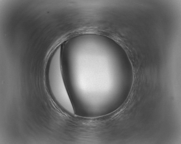 X0000064050293200601271005
