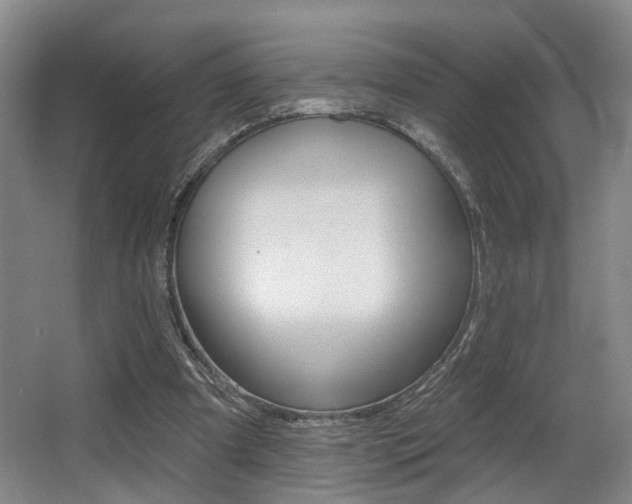 X0000064050297200601271005