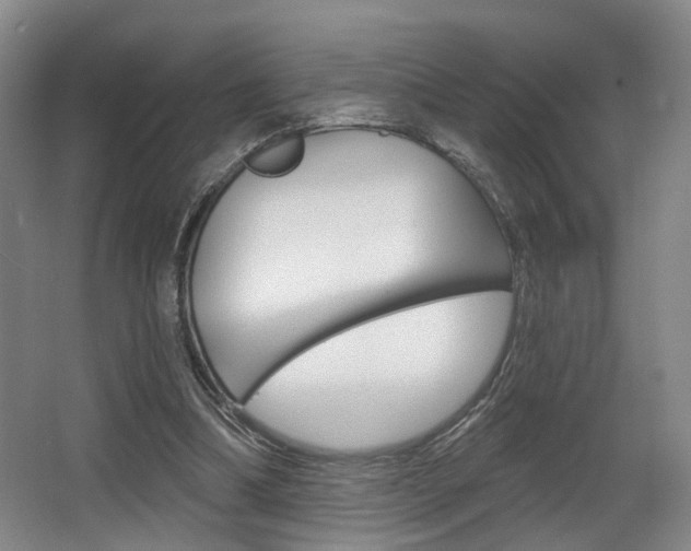 X0000064050298200601271005
