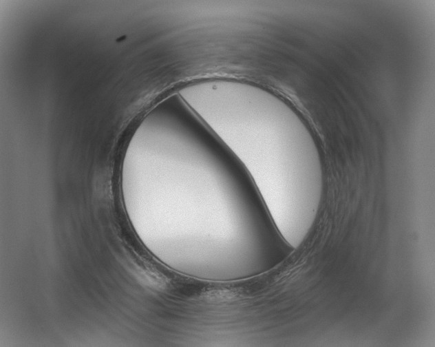 X0000064050299200601271005