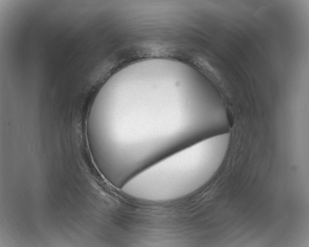 X0000064050306200601271005