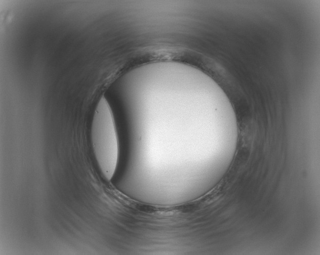 X0000064050314200601271005
