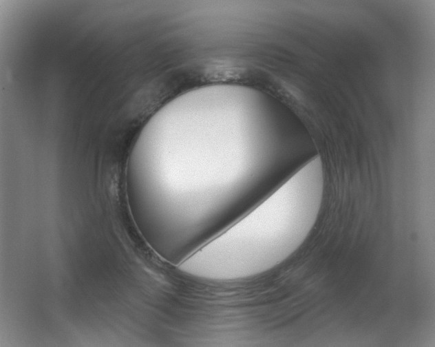 X0000064050315200601271005