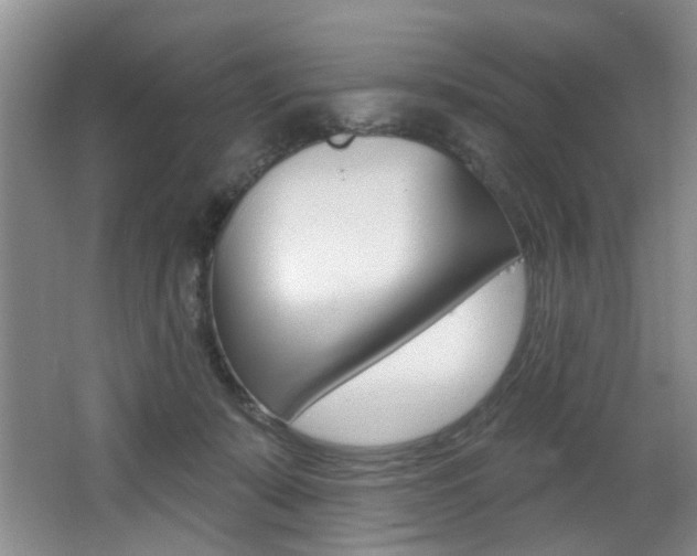 X0000064050319200601271005