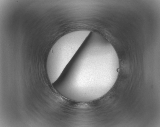 X0000064050322200601271005