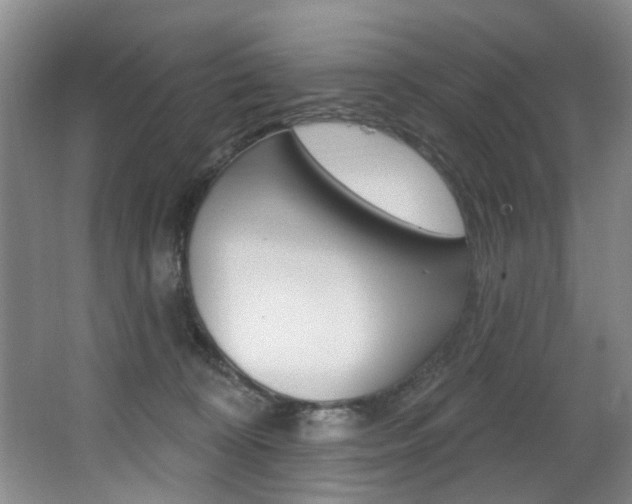 X0000064050324200601271005