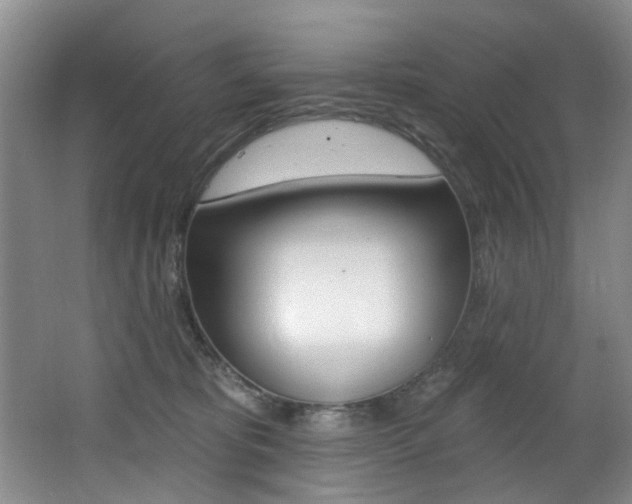 X0000064050325200601271005