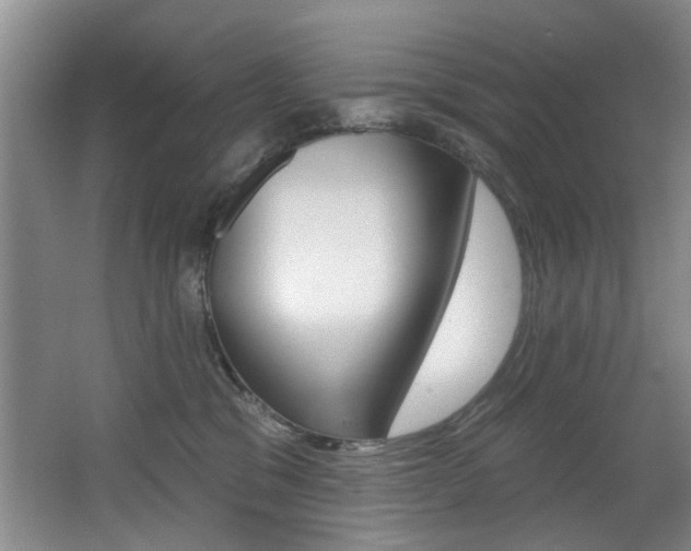 X0000064050329200601271005