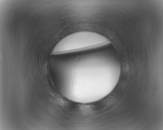 X0000064050332200601271005