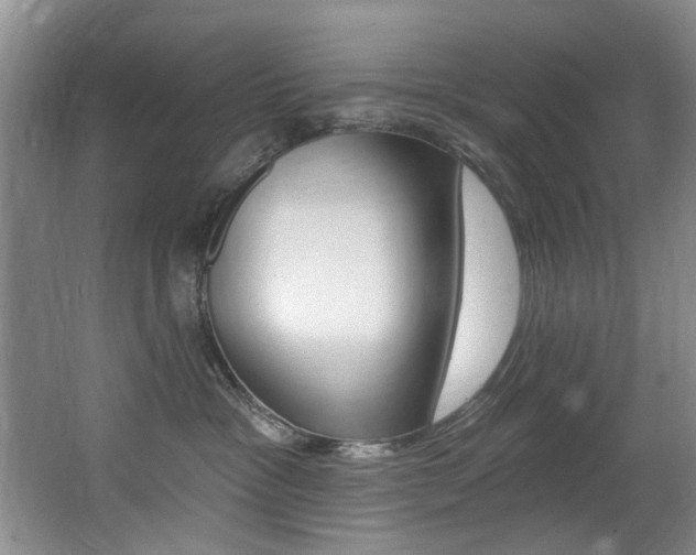 X0000064050333200601271005