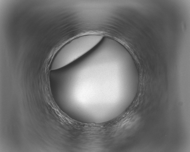 X0000064050337200601271004