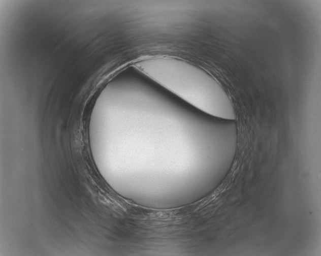 X0000064050338200601271004