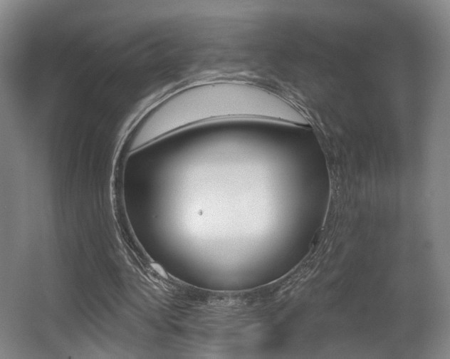 X0000064050340200601271004