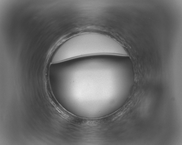 X0000064050341200601271004